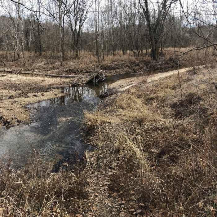 LaBarque Creek would be tempting in the hot, humid St. Louis summers Near Young Conservation Area