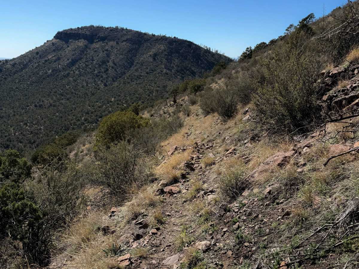 7 Up Trail #5  photo 3
