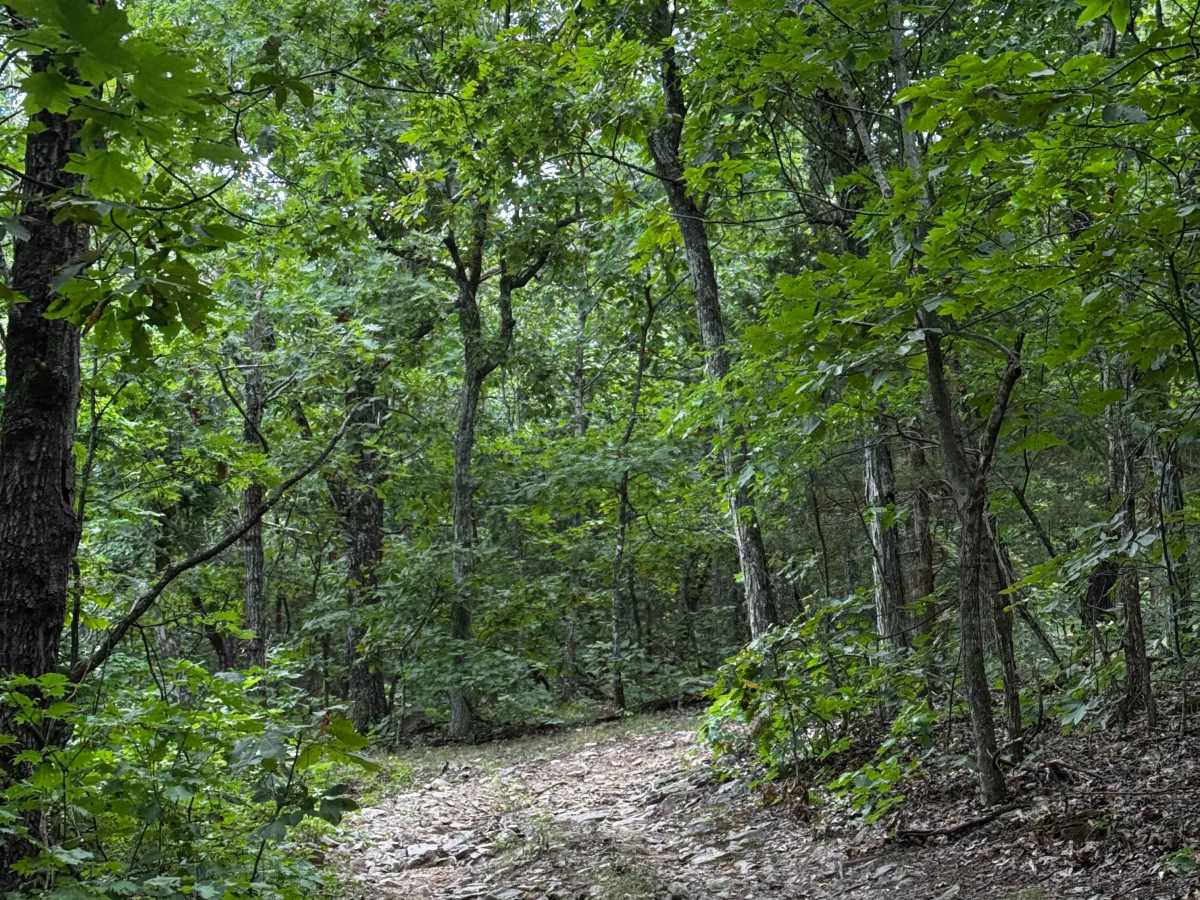 Pruitt Run Byway  photo 2