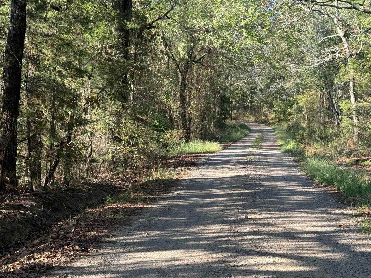 Old Waters HIghway photo 5