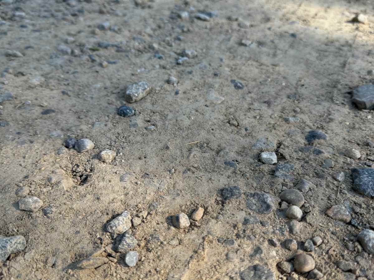 Silver Hill Trail photo 2