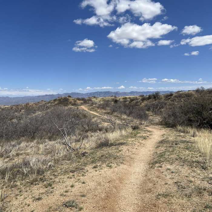Near Arizona Trail Passage 13: Oracle State Park Near Arizona Trail Passage 13: Oracle State Park