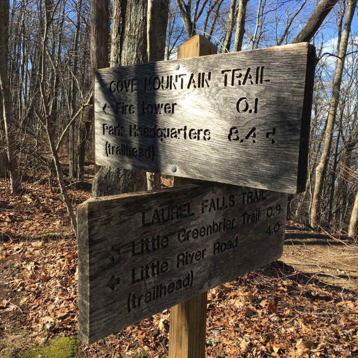 Cove Mountain Trail intersection. .1 miles to the Fire Tower at the top of Cove Mountain. Near Cove Mountain Trail