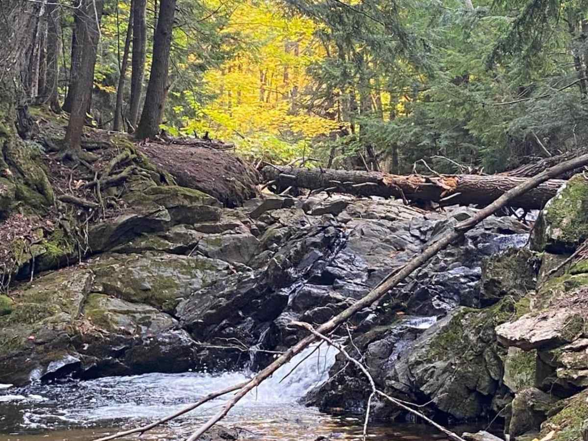 Old Bridge Overlook photo 4