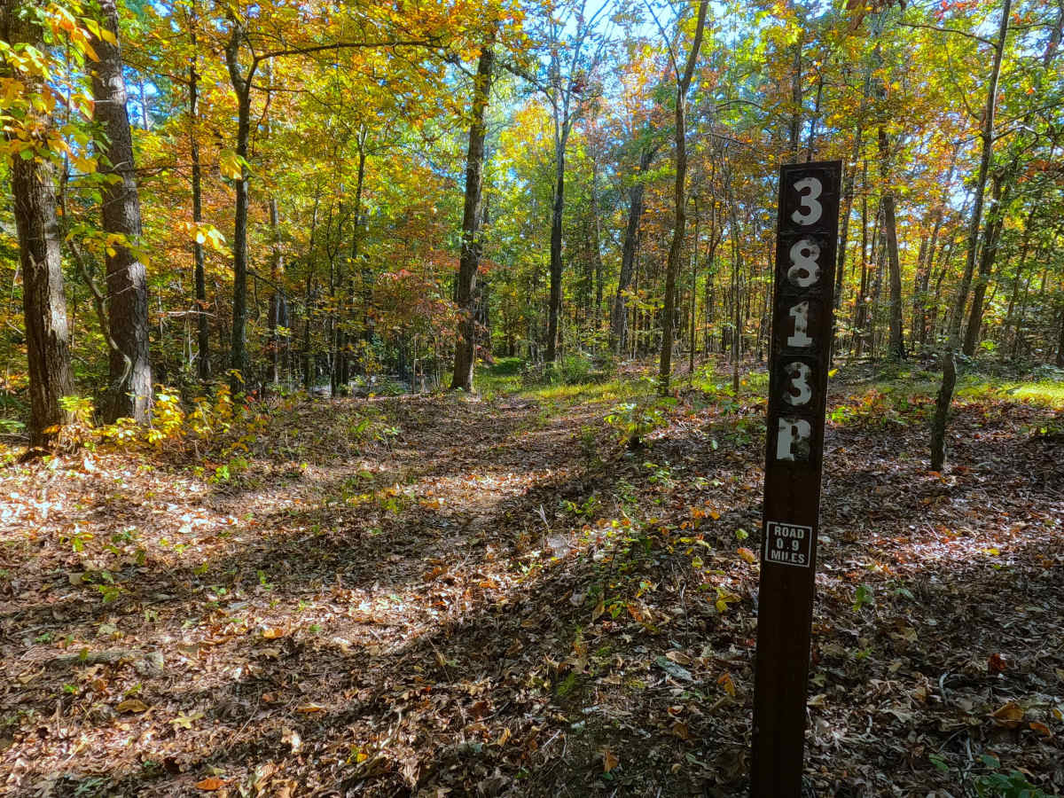Prospect B - FS 3813B trail photo