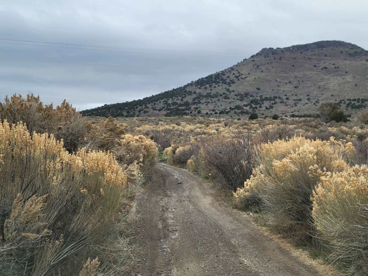 Pinyon Creek photo 6