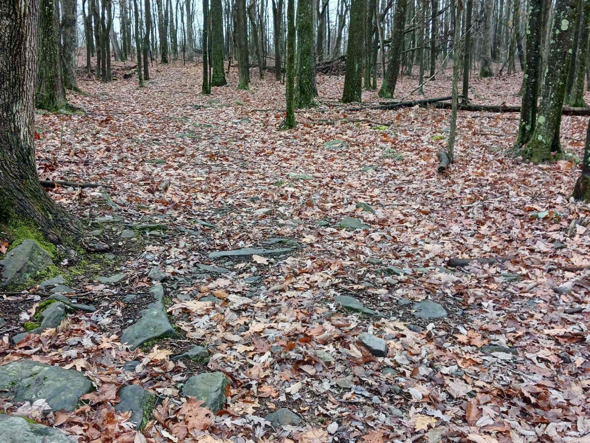 OHV 37 - Rock Run Recreation Area photo 5