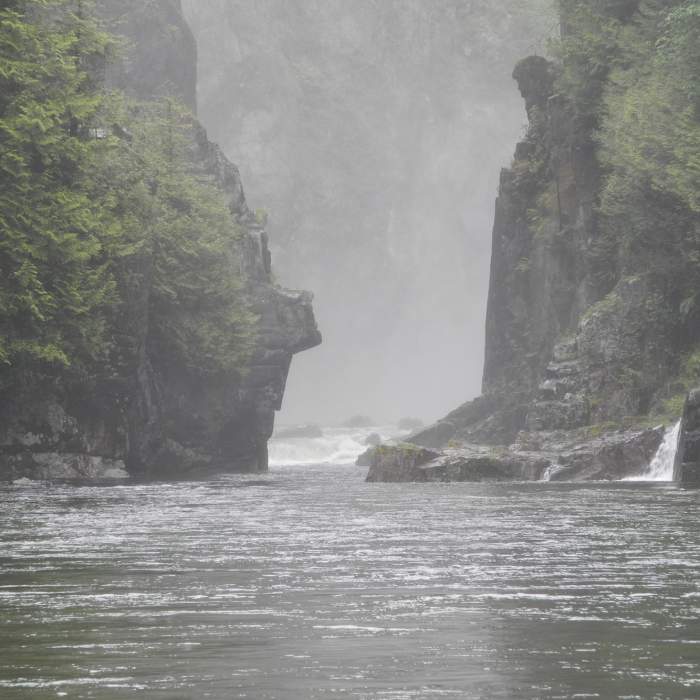 Near Coho Loop Trail