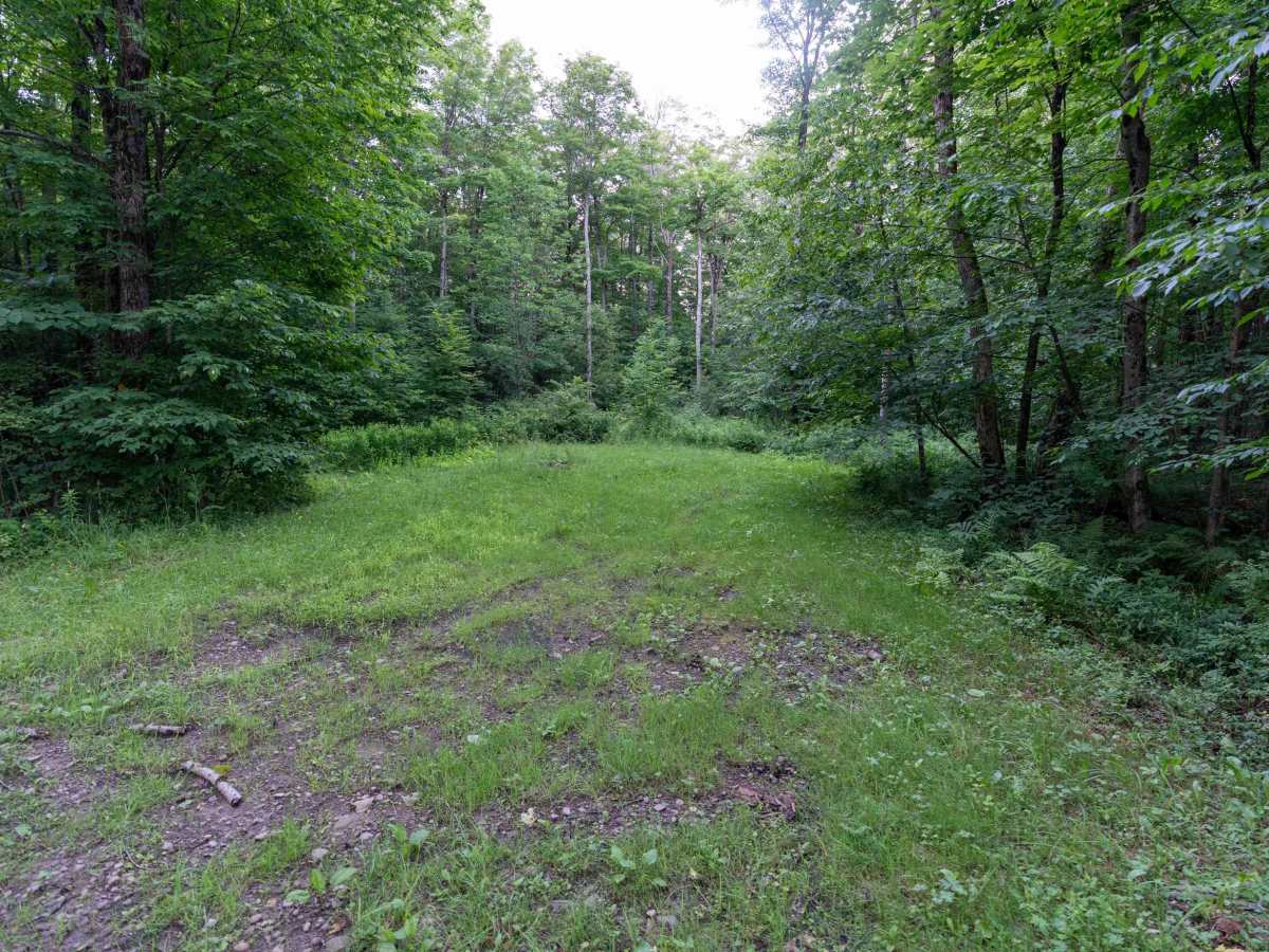 Norton Forest Road photo 5