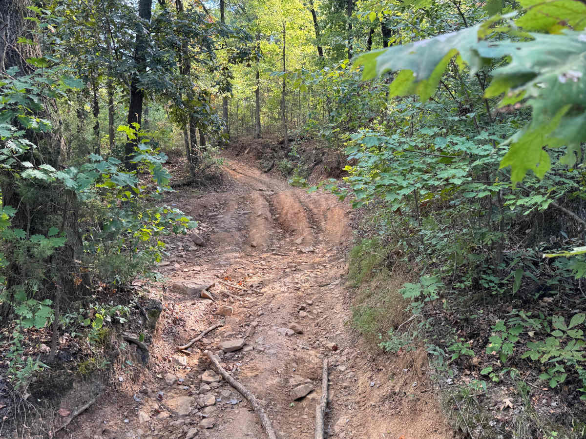 Huckleberry Mountain Orange photo 4