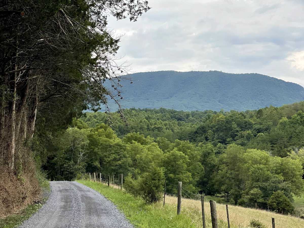 South Sugar Creek  trail photo