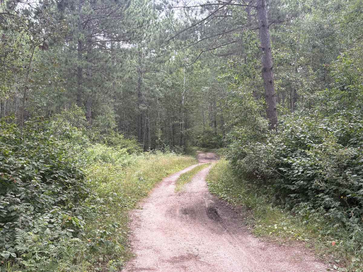 Forest Road 0404 trail photo