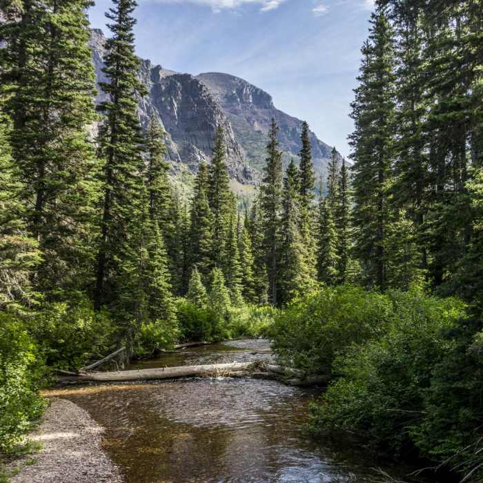 Near Upper Two Medicine Lake Hike