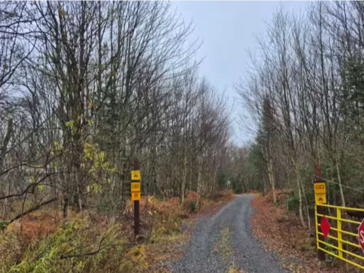 Fall Brook Easement Road photo 2