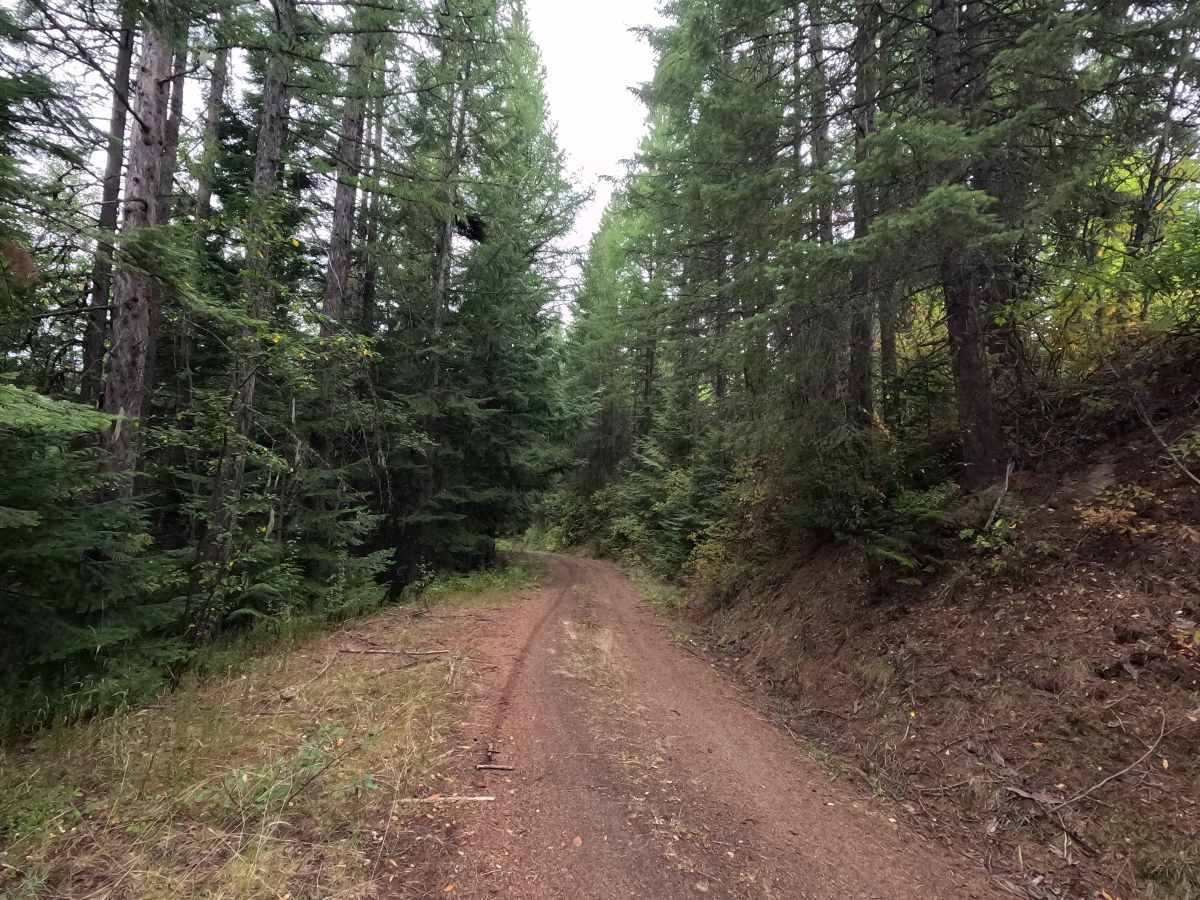Flat Creek - FS 1095 photo 6
