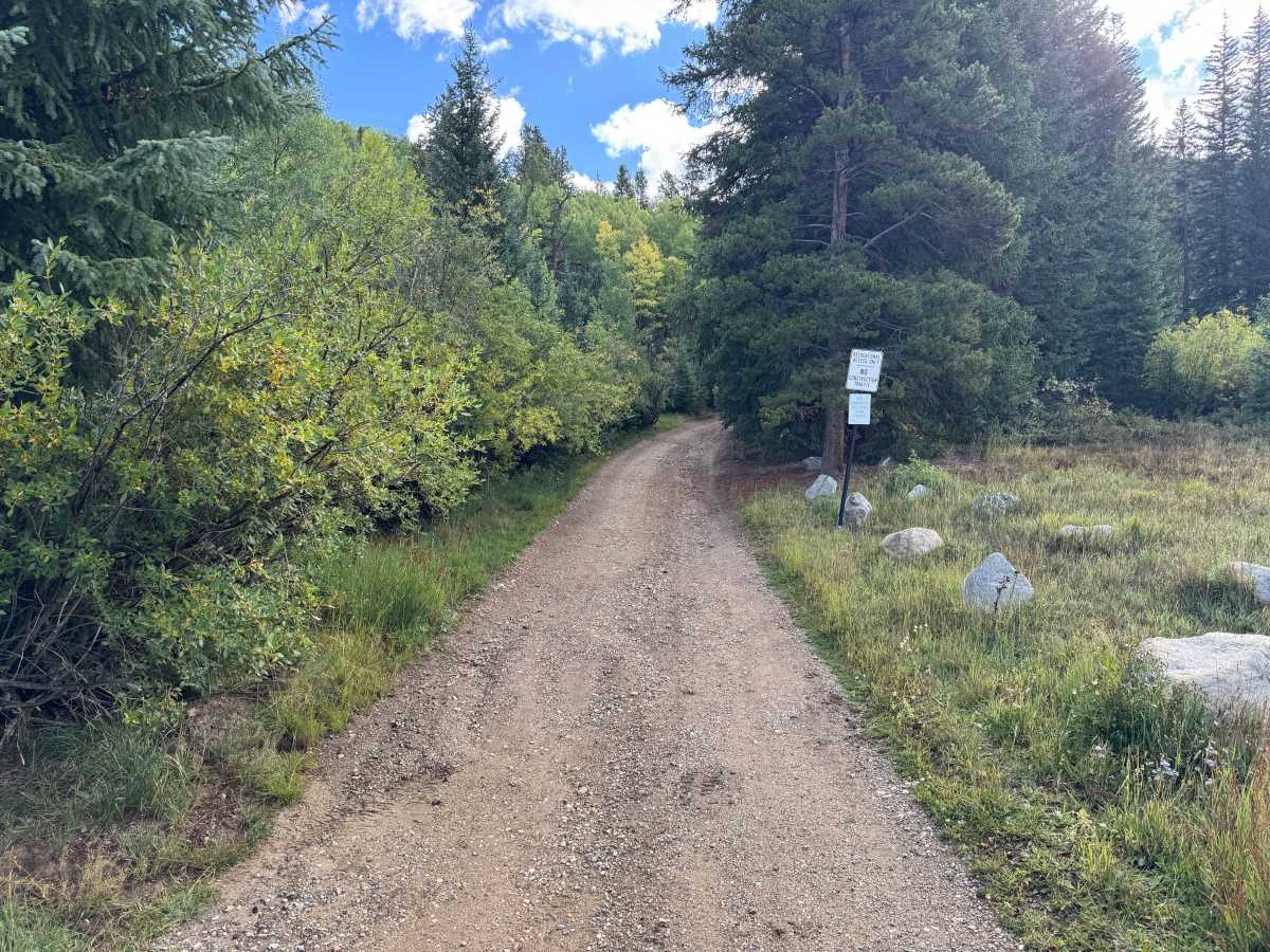 Gold Run Gulch Road trail photo