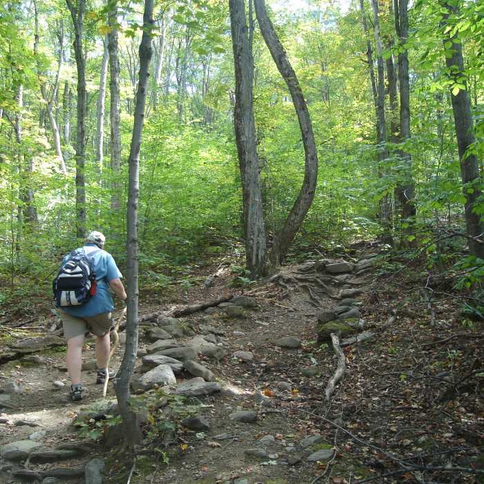 Near Stowe Pinnacle Trail