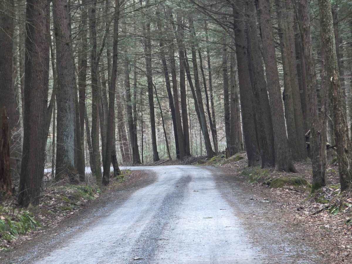 Asaph Run Road photo 6