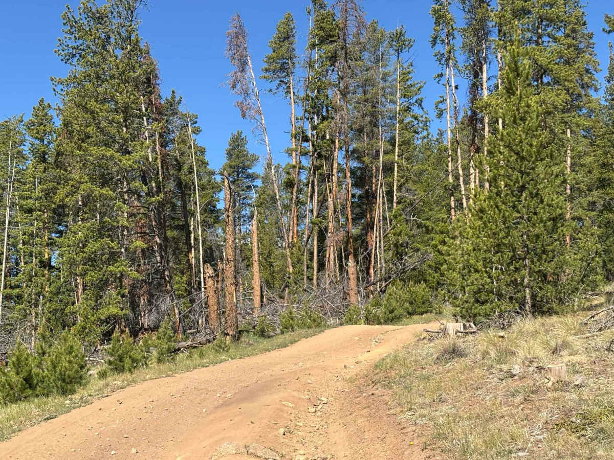Cake Ridge Spur Road photo 3