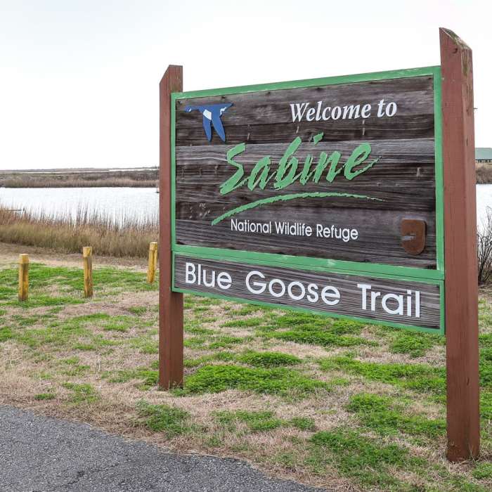 Near Blue Goose Nature Trail Near Blue Goose Nature Trail