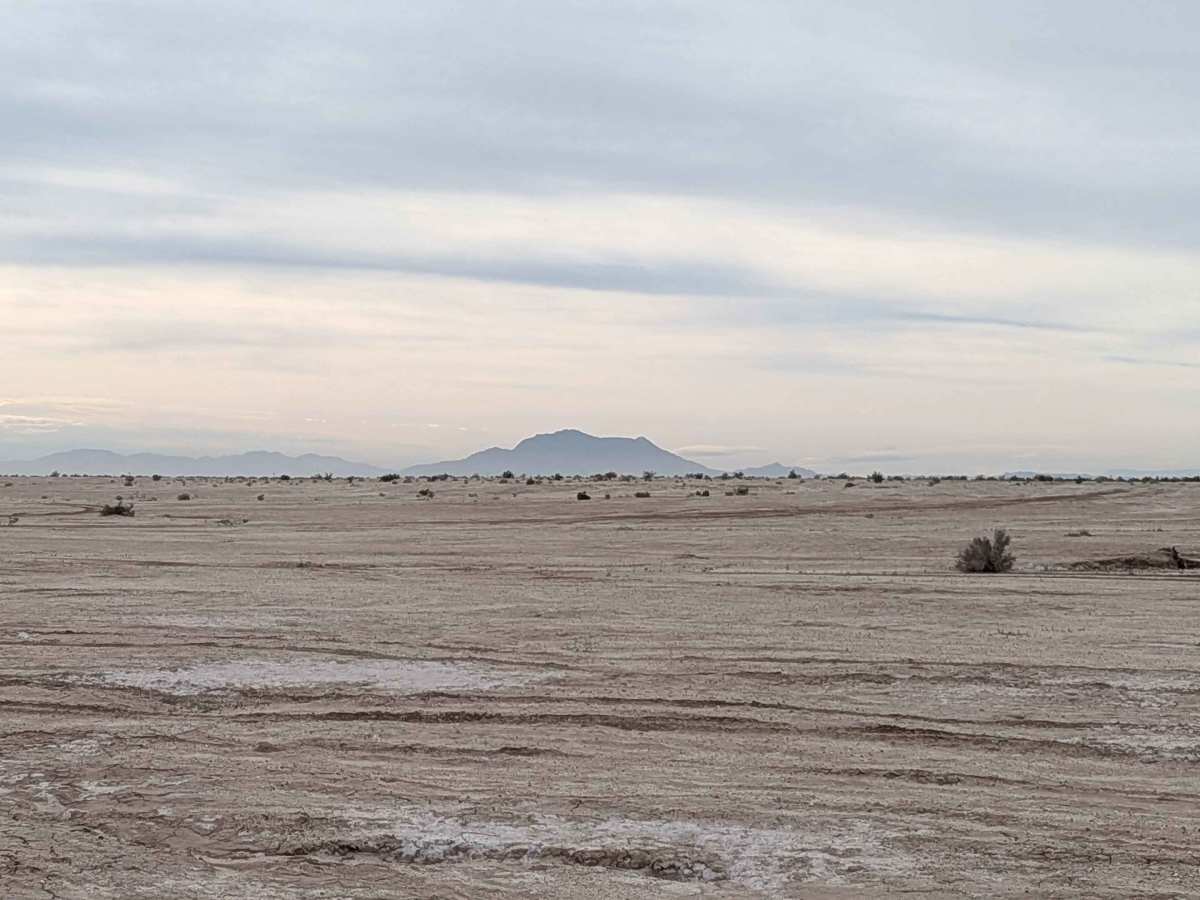 BLM 343 photo 3