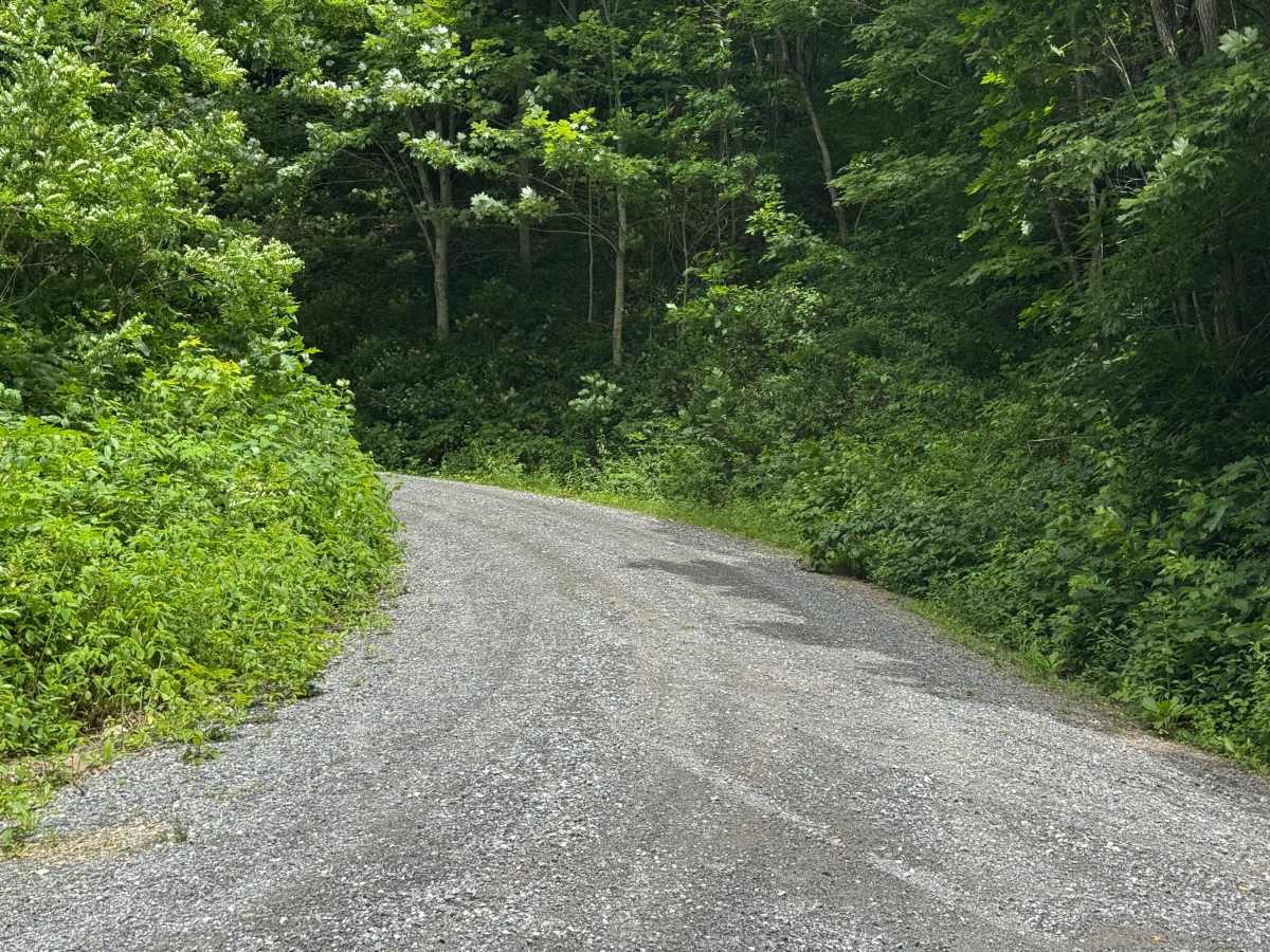 Upper Nantahala - FS 67 photo 2