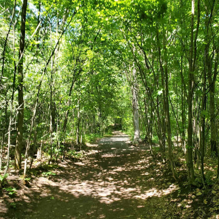 Near Parrott's Bay Loop