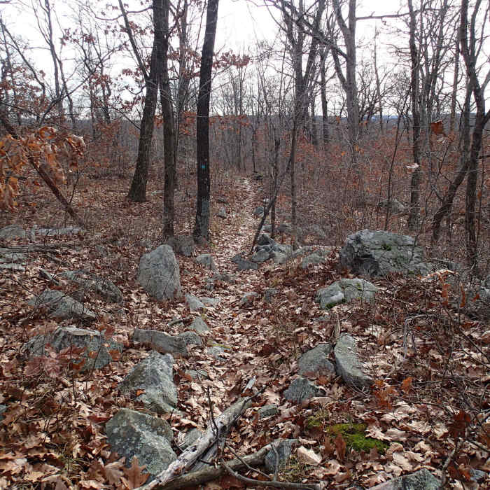 Highlands Trail Near Buckabear Pond Loop via Bearfort Waters - Clinton Trail