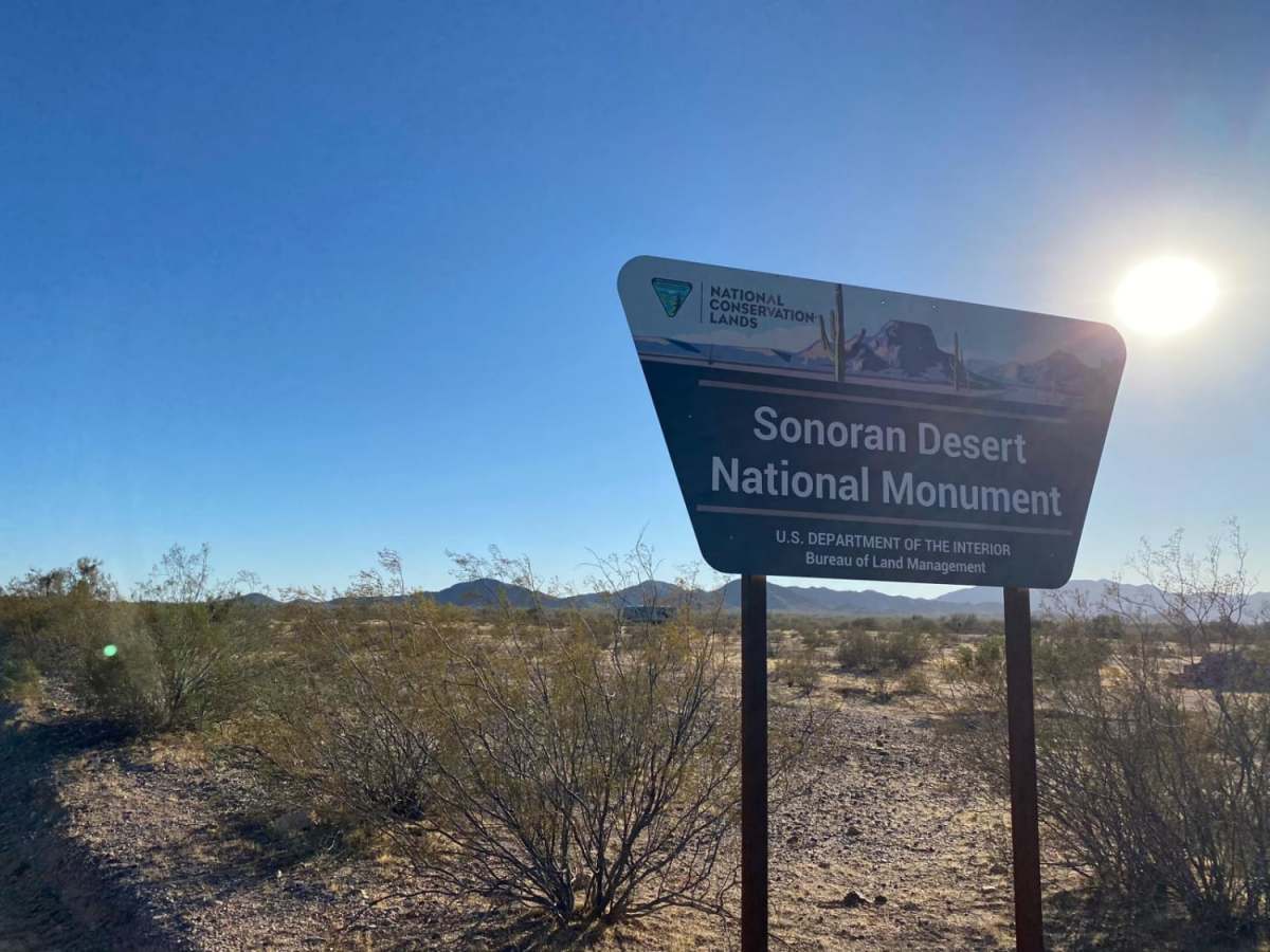 Sonoran Desert 8009 photo 4