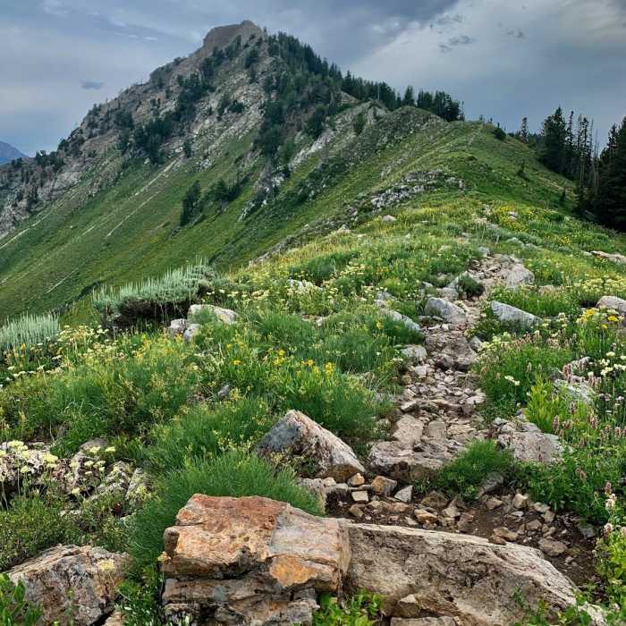 Near Mount Raymond Summit Trail