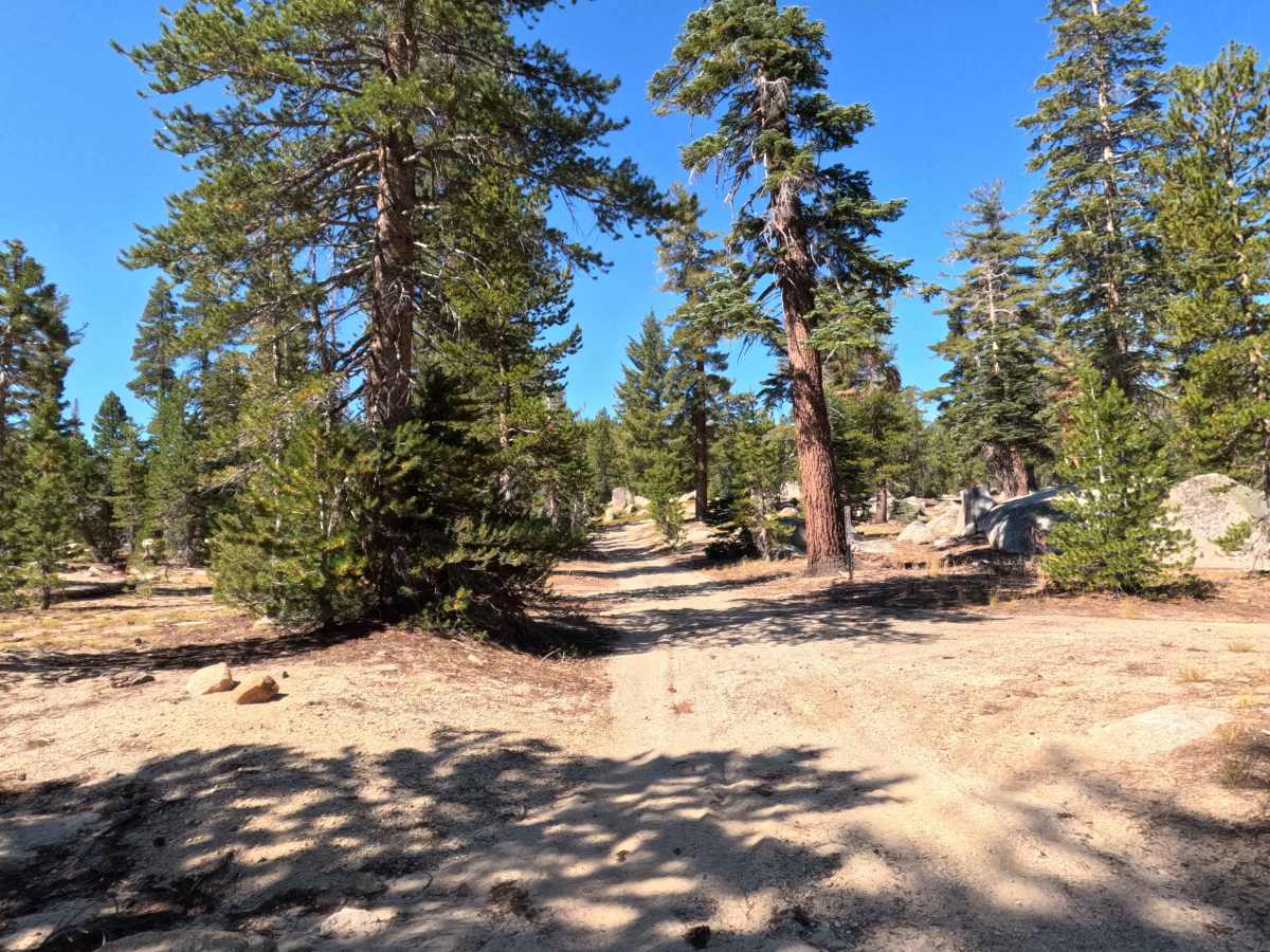 Burnside Lake - FS 31205 photo 6