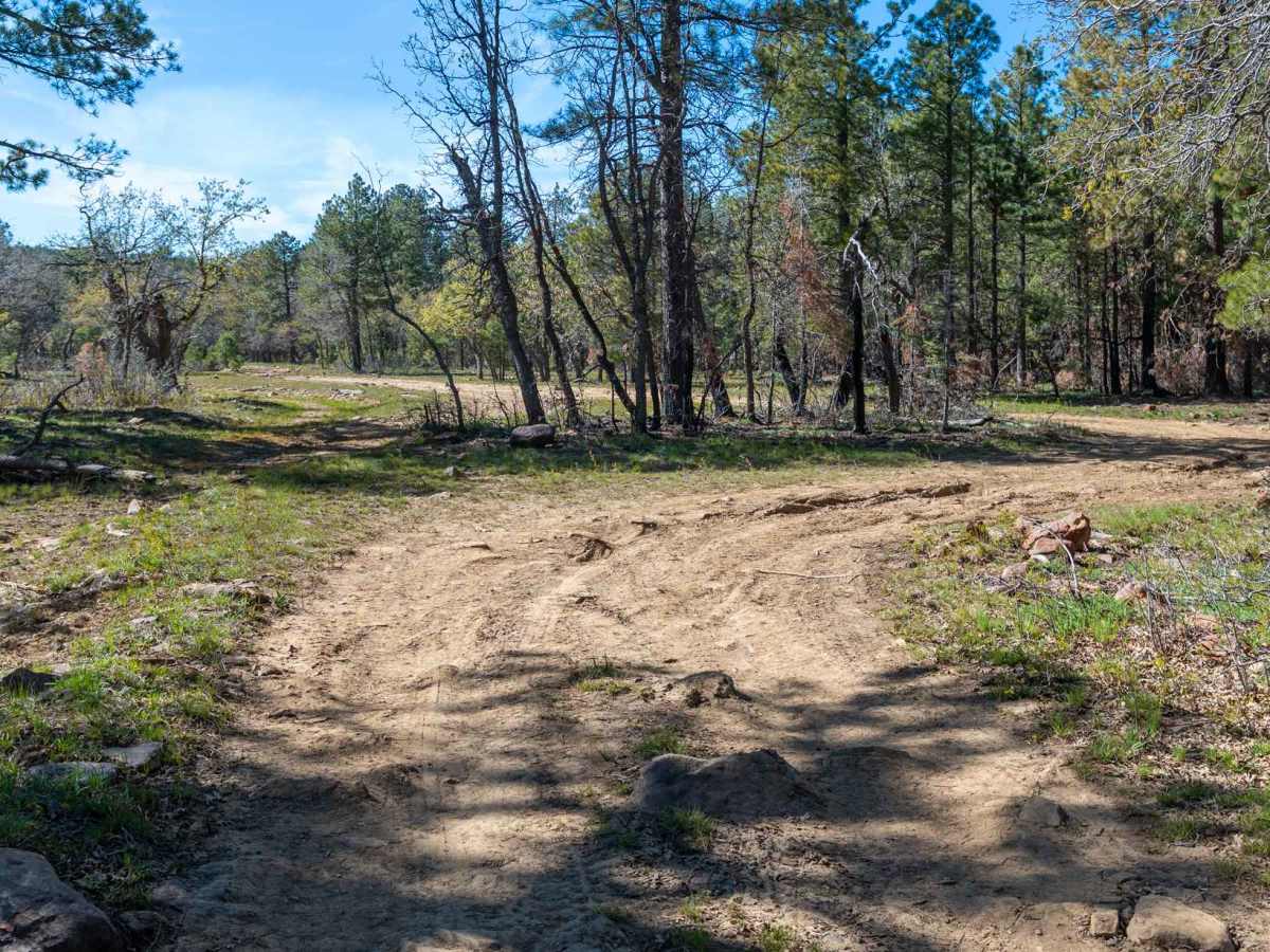 Promontory Butte - FS 410 photo 6