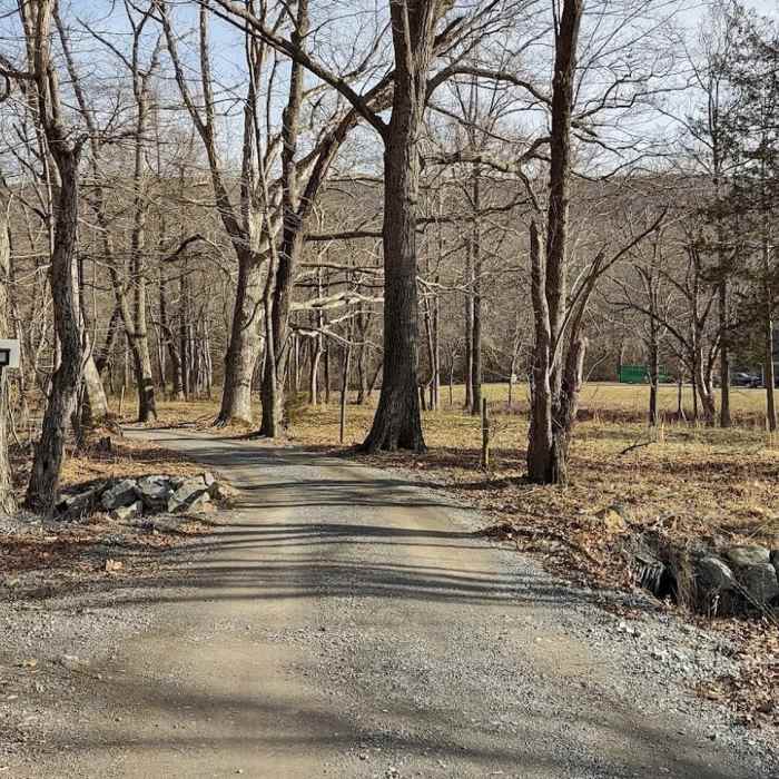 End of the trail looking back toward Skyline Drive. Near Bear Den Mountain Trail