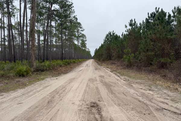 Southeast County Line Road