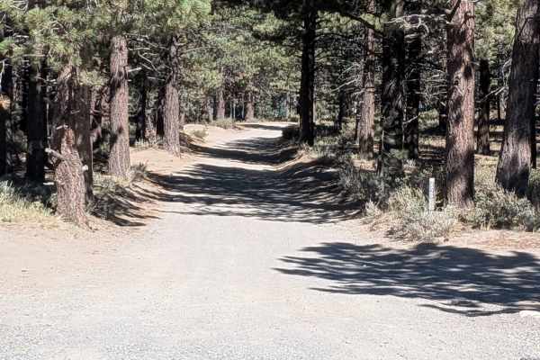Mammoth Knolls Loop FS 3S123