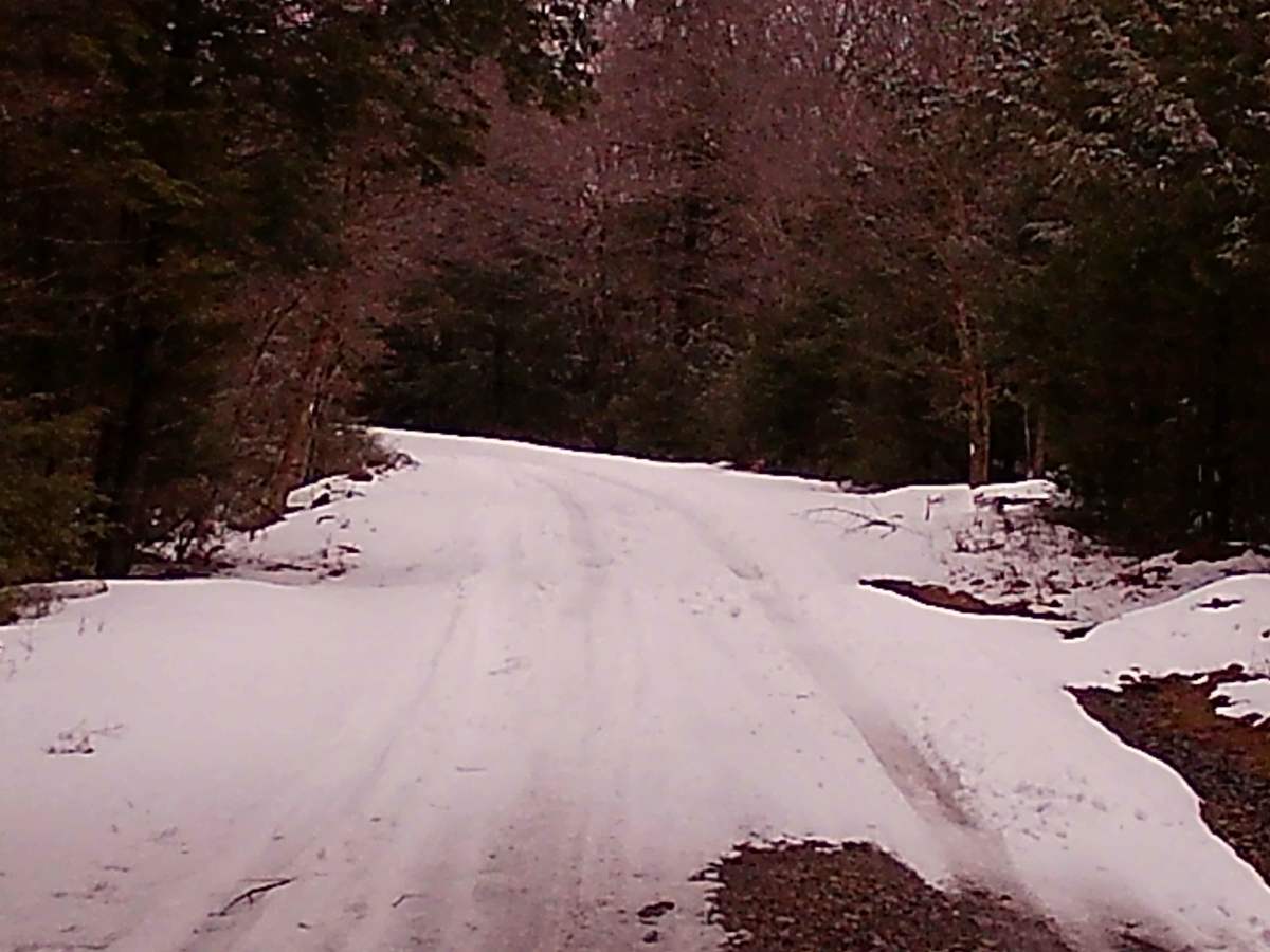 Mountain Spring Road photo 4