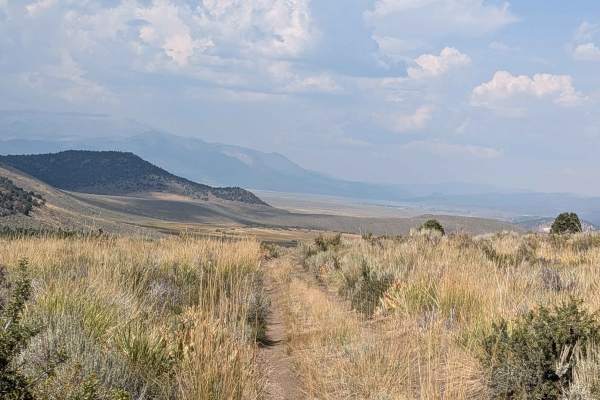 Cameron Canyon