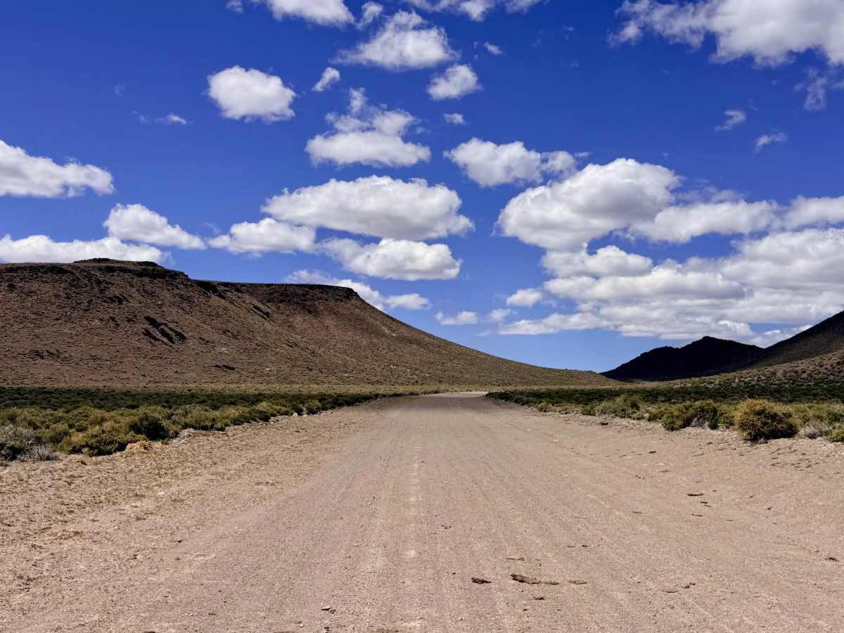 Willow Springs - FS 44427 photo 4
