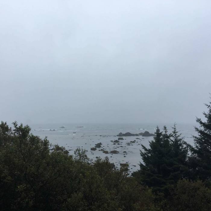 First view of the coast from the forest. Near Cape Alava Trail