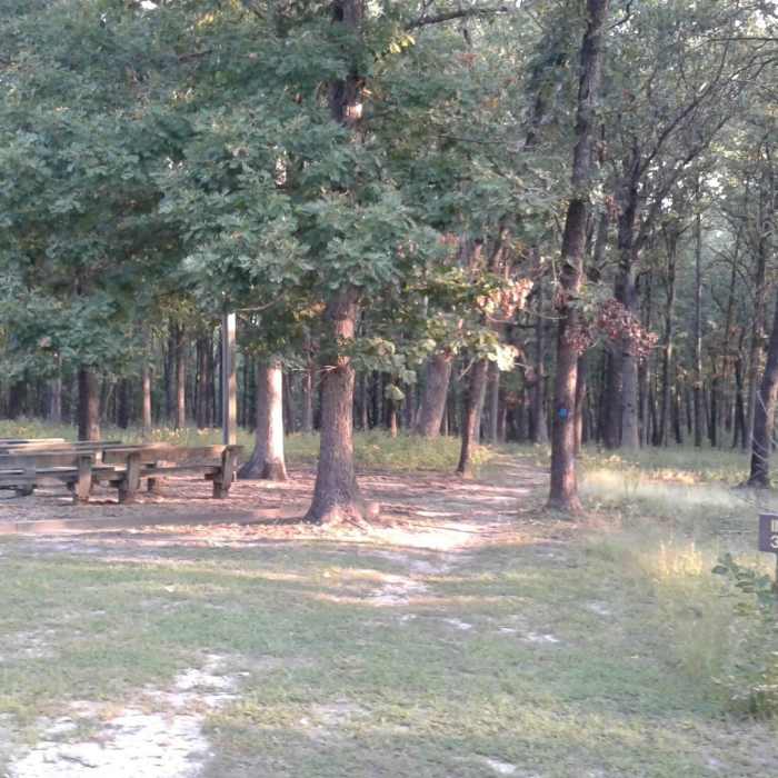 Pittsburg campground trailhead. Near Indian Point Trail