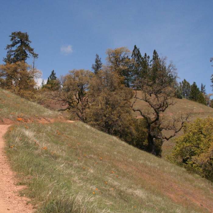 Near Middle Ridge Loop
