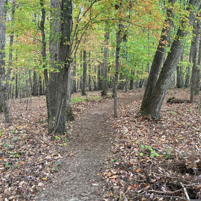 Near Rock Nature Trails Phase 1 Southwest Extension