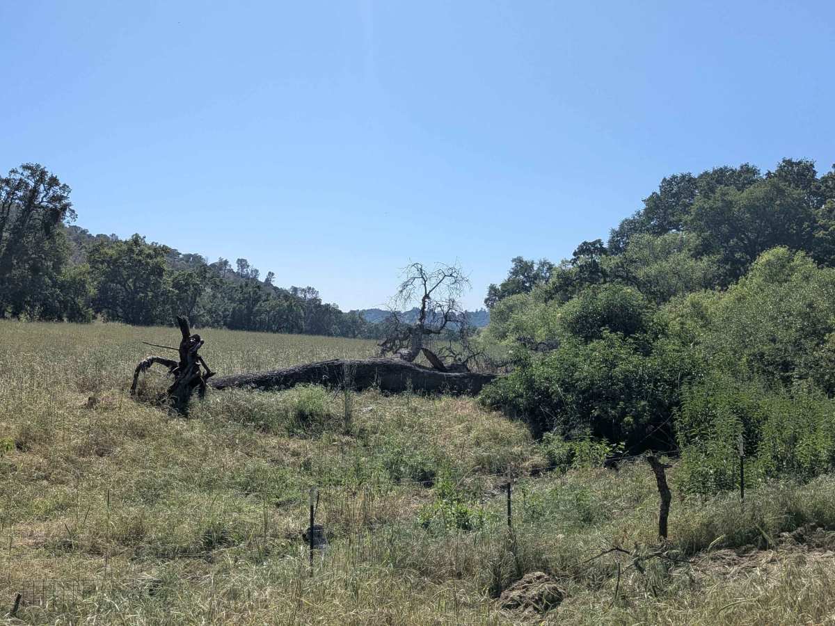 Coffee Creek Road photo 4