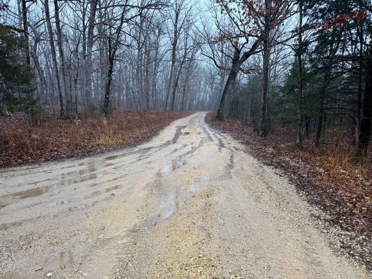 Thomas Lane trail photo
