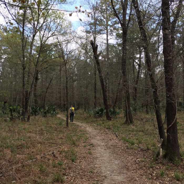 Near Lake Houston Loop