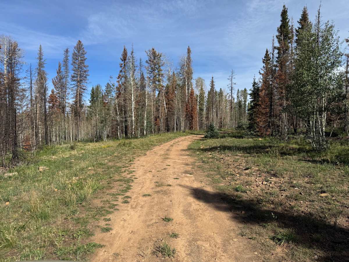 Hell Canyon Road photo 3