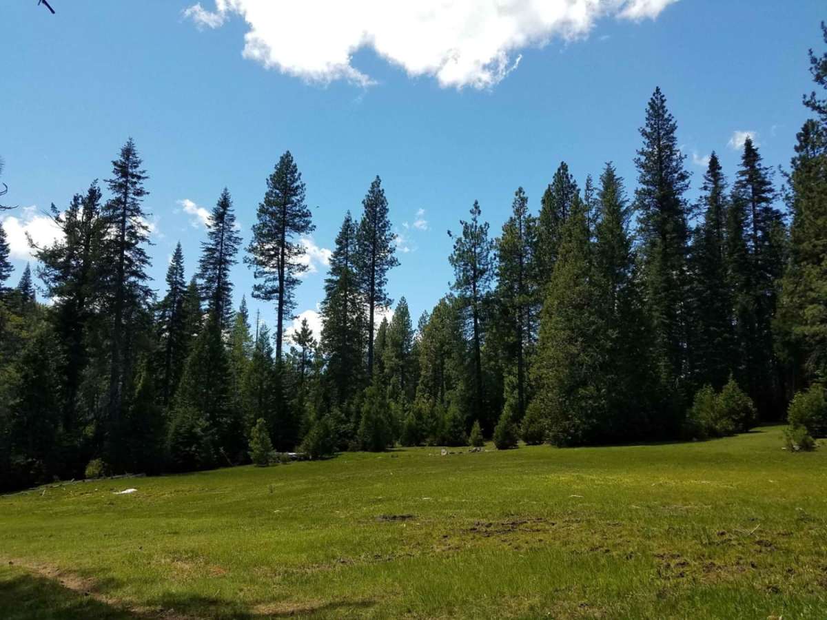 Airola Meadow Loop photo 5
