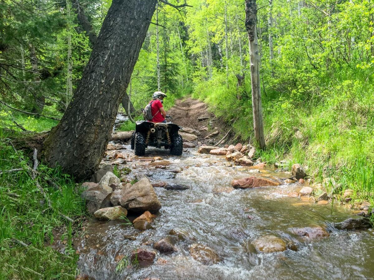 Boundary Trail photo 6