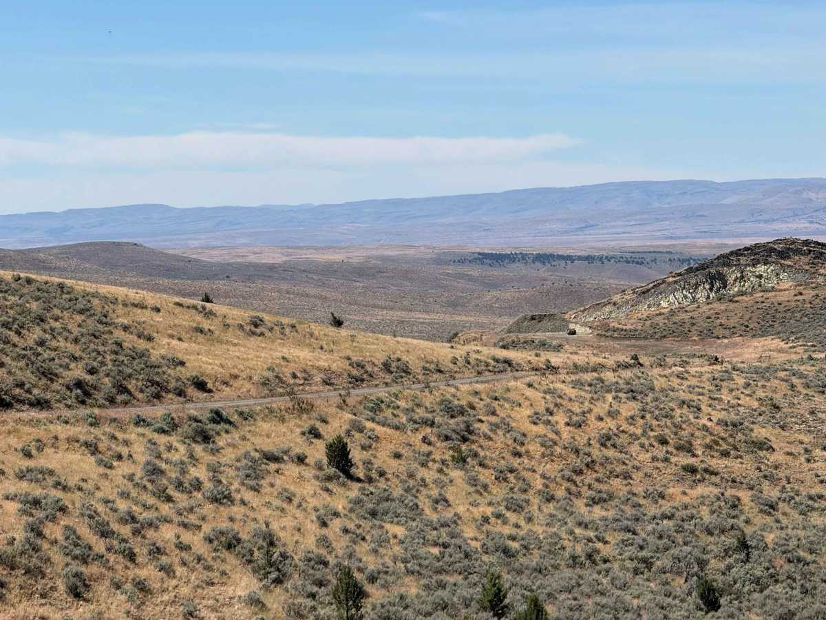 Bonita Road photo 2