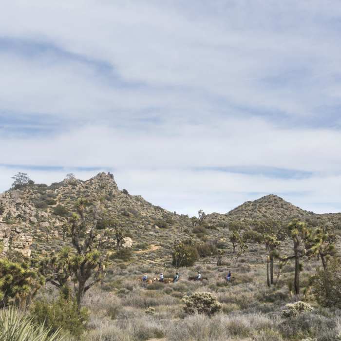 Near California Riding and Hiking Trail